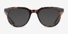 Repose Tortoise AcetateEyeglass Frames from EyeBuyDirect, with Tinted Lenses