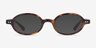 Groundbreaker Tortoise AcetateEyeglass Frames from EyeBuyDirect, with Tinted Lenses