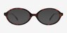 Aven Tortoise AcetateEyeglass Frames from EyeBuyDirect, with Tinted Lenses