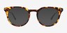 Clement Tortoise Alternative MaterialsEyeglass Frames from EyeBuyDirect, with Tinted Lenses