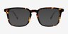 Astera Tortoise Alternative MaterialsEyeglass Frames from EyeBuyDirect, with Tinted Lenses