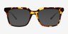 Sandie Tortoise Alternative MaterialsEyeglass Frames from EyeBuyDirect, with Tinted Lenses