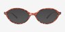 Whitmore Tortoise Alternative MaterialsEyeglass Frames from EyeBuyDirect, with Tinted Lenses