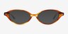 Burke Tortoise AcetateEyeglass Frames from EyeBuyDirect, with Tinted Lenses