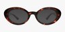 Chambers Tortoise Alternative MaterialsEyeglass Frames from EyeBuyDirect, with Tinted Lenses