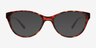 Camille Tortoise PlasticEyeglass Frames from EyeBuyDirect, with Tinted Lenses
