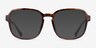 Danni Tortoise PlasticEyeglass Frames from EyeBuyDirect, with Tinted Lenses