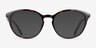 Dana Tortoise PlasticEyeglass Frames from EyeBuyDirect, with Tinted Lenses