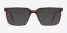 Duke Tortoise PlasticEyeglass Frames from EyeBuyDirect, with Tinted Lenses