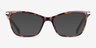 Farah Tortoise PlasticEyeglass Frames from EyeBuyDirect, with Tinted Lenses