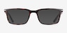 Ferguson Tortoise PlasticEyeglass Frames from EyeBuyDirect, with Tinted Lenses