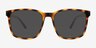 Anders Tortoise PlasticEyeglass Frames from EyeBuyDirect, with Tinted Lenses