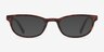 Arty Écailles PlastiqueMontures de lunettes de vue d'EyeBuyDirect, Avec des Verres Teintés