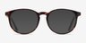 Bubbles Tortoise PlasticEyeglass Frames from EyeBuyDirect, with Tinted Lenses
