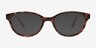 Berni Tortoise PlasticEyeglass Frames from EyeBuyDirect, with Tinted Lenses