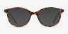 Dollop Tortoise PlasticEyeglass Frames from EyeBuyDirect, with Tinted Lenses