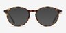 Halo Tortoise PlasticEyeglass Frames from EyeBuyDirect, with Tinted Lenses