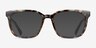 Helena Green Tortoise PlasticEyeglass Frames from EyeBuyDirect, with Tinted Lenses