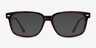 John Brown AcetateEyeglass Frames from EyeBuyDirect, with Tinted Lenses