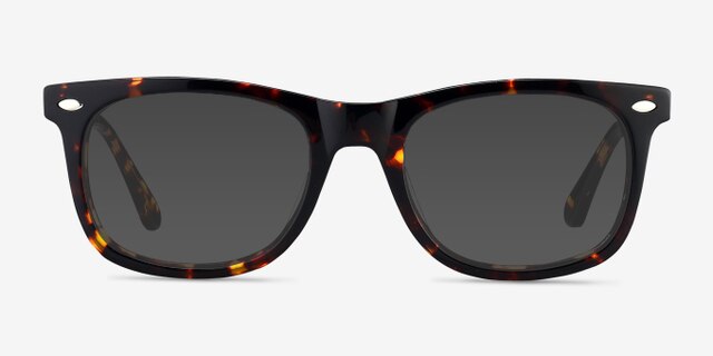 Sam Tortoise AcetateEyeglass Frames from EyeBuyDirect, with Tinted Lenses