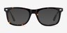 Sam Tortoise AcetateEyeglass Frames from EyeBuyDirect, with Tinted Lenses