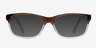 Aliya Brown AcetateEyeglass Frames from EyeBuyDirect, with Tinted Lenses