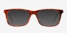 Franky Brown & Strip AcetateEyeglass Frames from EyeBuyDirect, with Tinted Lenses