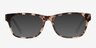 Willow Brown & Tortoise AcetateEyeglass Frames from EyeBuyDirect, with Tinted Lenses