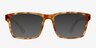 Bryan Brown & Tortoise AcetateEyeglass Frames from EyeBuyDirect, with Tinted Lenses