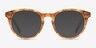 Stanford Brown & Tortoise AcetateEyeglass Frames from EyeBuyDirect, with Tinted Lenses
