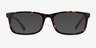 Pat Brown & Tortoise AcetateEyeglass Frames from EyeBuyDirect, with Tinted Lenses