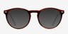 Yale Brown AcetateEyeglass Frames from EyeBuyDirect, with Tinted Lenses