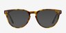 Notting Hill Tortoise AcetateEyeglass Frames from EyeBuyDirect, with Tinted Lenses
