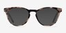 Notting Hill Ivory & Tortoise AcétateMontures de lunettes de vue d'EyeBuyDirect, Avec des Verres Teintés