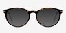New Bedford Tortoise AcetateEyeglass Frames from EyeBuyDirect, with Tinted Lenses