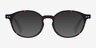 Sophie Tortoise AcetateEyeglass Frames from EyeBuyDirect, with Tinted Lenses
