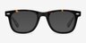 Blizzard Dark Tortoise AcetateEyeglass Frames from EyeBuyDirect, with Tinted Lenses