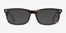Birmingham Coffee AcetateEyeglass Frames from EyeBuyDirect, with Tinted Lenses