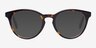 Stanford Tortoise AcetateEyeglass Frames from EyeBuyDirect, with Tinted Lenses