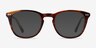 New Day Brown AcetateEyeglass Frames from EyeBuyDirect, with Tinted Lenses