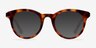 Venus Tortoise AcetateEyeglass Frames from EyeBuyDirect, with Tinted Lenses