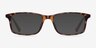 Empire Matte Tortoise AcetateEyeglass Frames from EyeBuyDirect, with Tinted Lenses