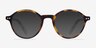 Mellow Matte Tortoise AcetateEyeglass Frames from EyeBuyDirect, with Tinted Lenses