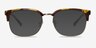Charleston Golden & Tortoise Plastic-metalEyeglass Frames from EyeBuyDirect, with Tinted Lenses