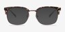 Charleston Silver & Floral Plastic-metalEyeglass Frames from EyeBuyDirect, with Tinted Lenses