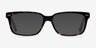 John Tortoise AcetateEyeglass Frames from EyeBuyDirect, with Tinted Lenses