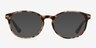 New Bedford Bronze & Tortoise AcetateEyeglass Frames from EyeBuyDirect, with Tinted Lenses