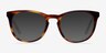 Providence Tortoise AcetateEyeglass Frames from EyeBuyDirect, with Tinted Lenses