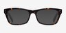 Avalon Tortoise AcetateEyeglass Frames from EyeBuyDirect, with Tinted Lenses