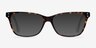 Munich Tortoise AcetateEyeglass Frames from EyeBuyDirect, with Tinted Lenses